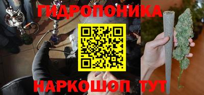 СК Обь