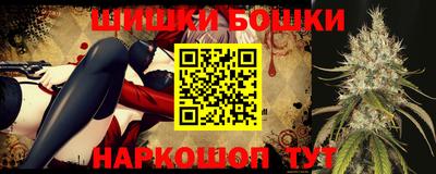 СК Обь