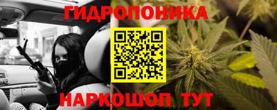 PSILOCYBIN Нягань