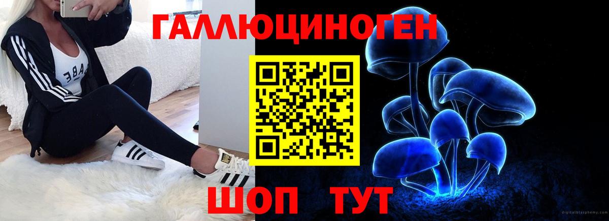 Галлюциногенные грибы прущие грибы Рыбинск